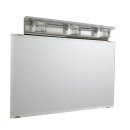 LED Design Spiegelleuchte Acrylglas Gravur"Apfel" 3x1 Watt