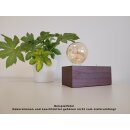 Tischleuchte *WOODY* Retro Optik Holz Mahagoni