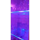 Glaskantenbeleuchtung Set mit 1 Clip